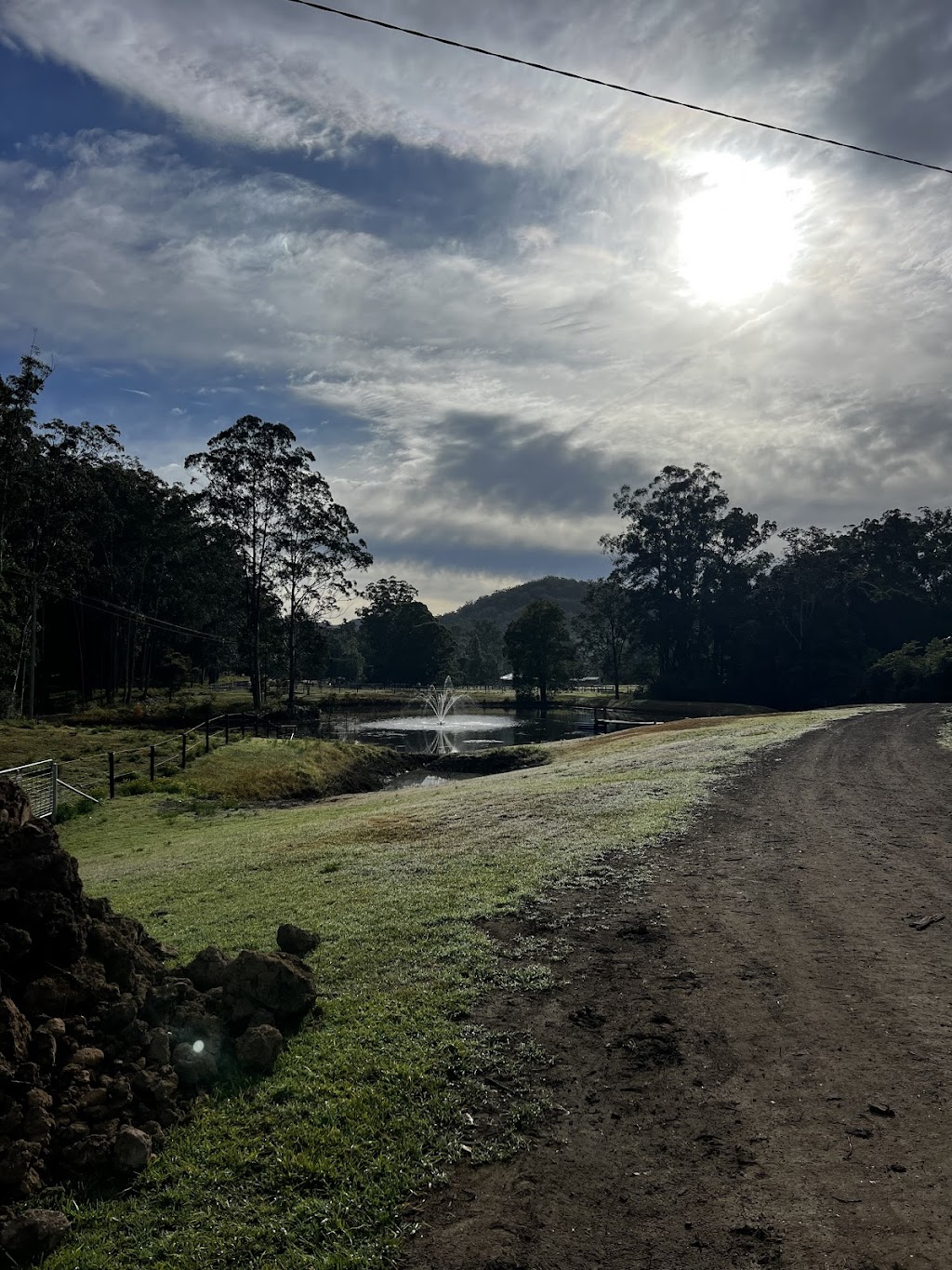 Watagan Australia Agistment & Spelling | 43 Watagan Rd, Martinsville NSW 2265, Australia | Phone: 0450 221 294