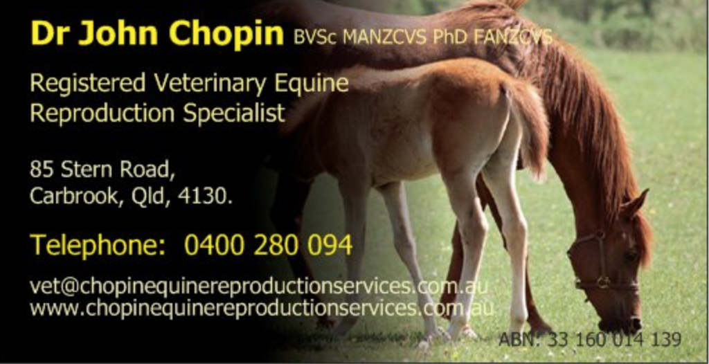CARBROOK VETERINARY SERVICES - All Horse, Large & Small Animal S | veterinary care | 85 Stern Rd, Carbrook QLD 4130, Australia | 0400280094 OR +61 400 280 094