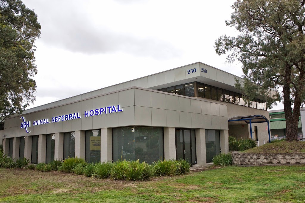 Animal Referral Hospital - Baulkham Hills | 19 Old Northern Rd, Baulkham Hills NSW 2153, Australia | Phone: (02) 9639 7744