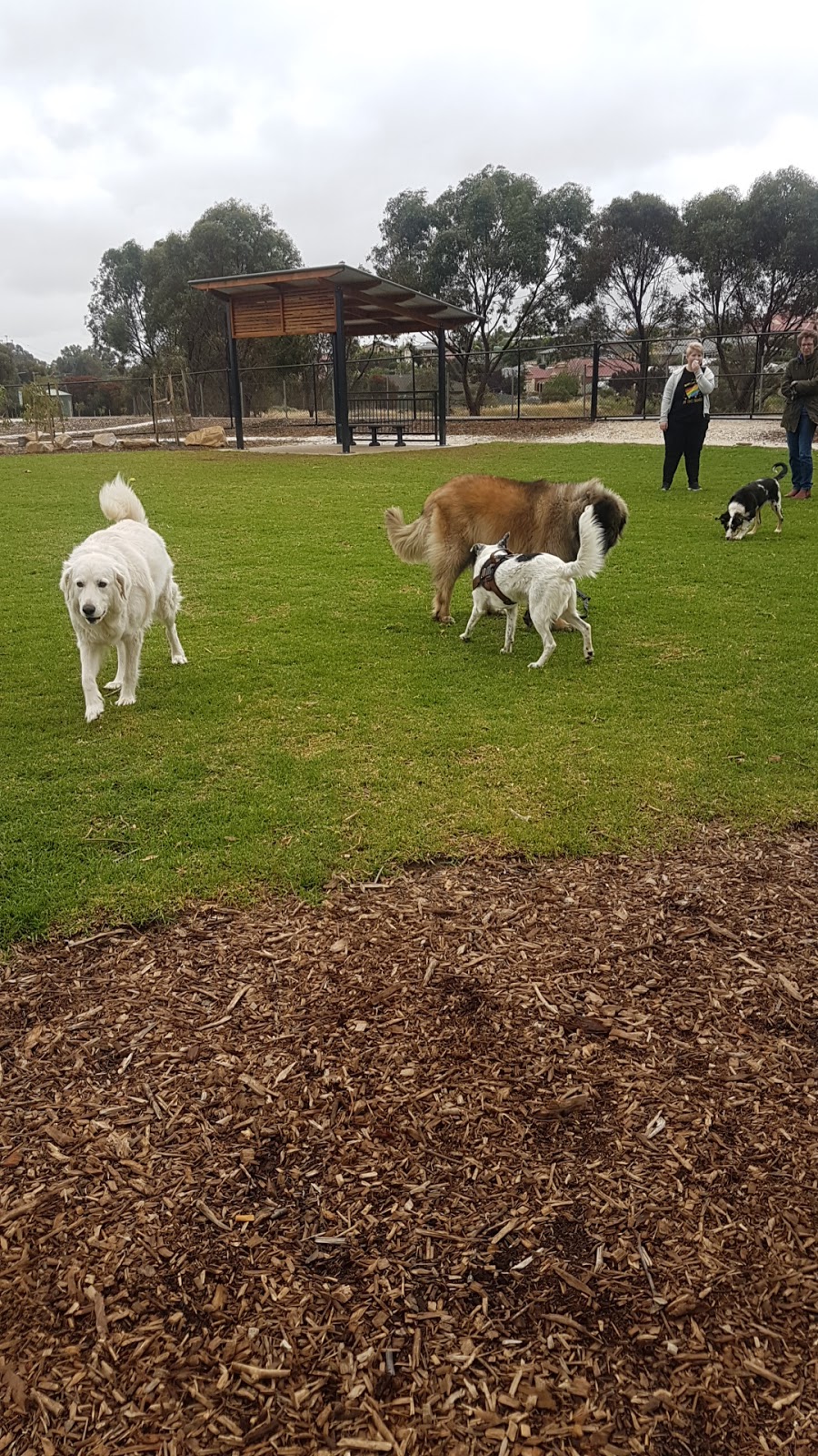 Clonlea Reserve Dog Park | park | Murray Rd, Gawler SA 5118, Australia | 0885229211 OR +61 8 8522 9211