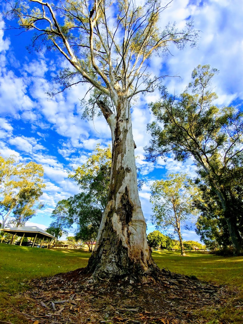 Hock Davis Park | 63 Lavender St, Inala QLD 4077, Australia | Phone: (07) 3403 8888