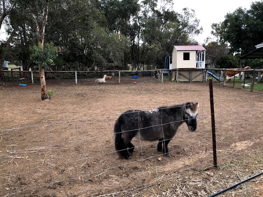 Green Gables Stablés | 108 Koojedda Rd, Bakers Hill WA 6562, Australia | Phone: (08) 9590 1256