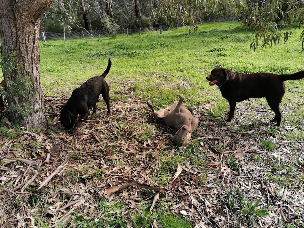 Banyule Flats Dog Run | Viewbank VIC 3084, Australia