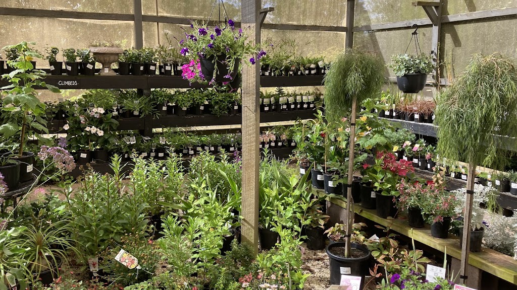 Aussie Outdoor Nursery & Emporium Ballarat | 9527 Western Fwy, Warrenheip VIC 3352, Australia | Phone: (03) 5331 8272