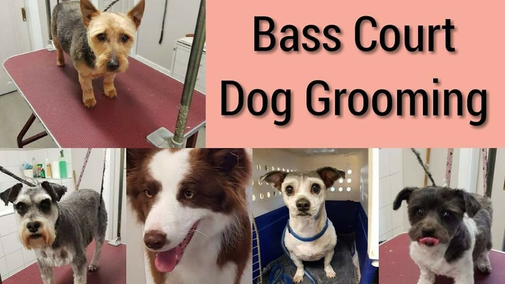 Bass Court Dog Grooming |  | 157 Reeve St, Sale VIC 3850, Australia | 0402144893 OR +61 402 144 893