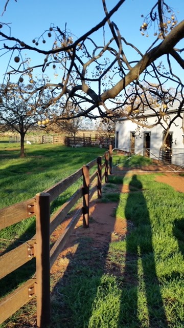 Ingleden Park Bed and Breakfast Farmstay Cottages | 225 Coghlan Rd, Widgelli NSW 2680, Australia | Phone: (02) 6963 6527