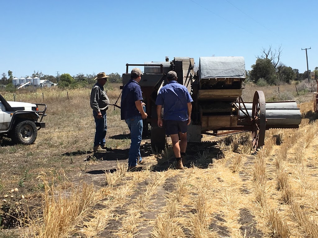 Croppa Creek Farm Spares | 13 Railway St, Croppa Creek NSW 2411, Australia | Phone: (02) 6754 5224