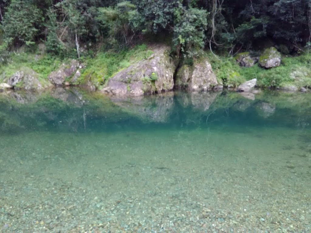 Conondale National Park - Conondale QLD 4552, Australia