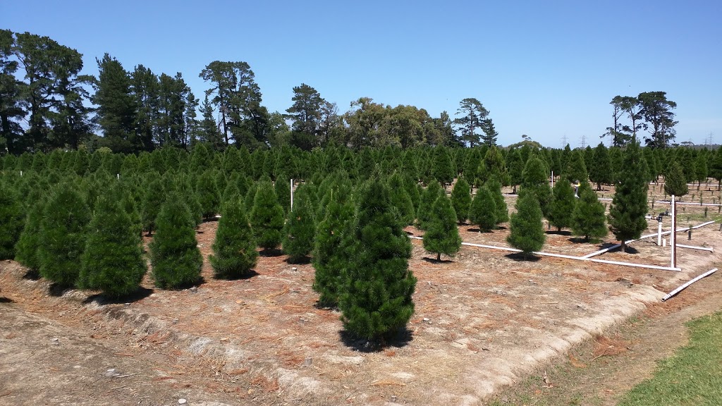 Dandenong Christmas Tree Farm | 336 Brown Rd, Officer VIC 3809, Australia | Phone: 1300 655 652