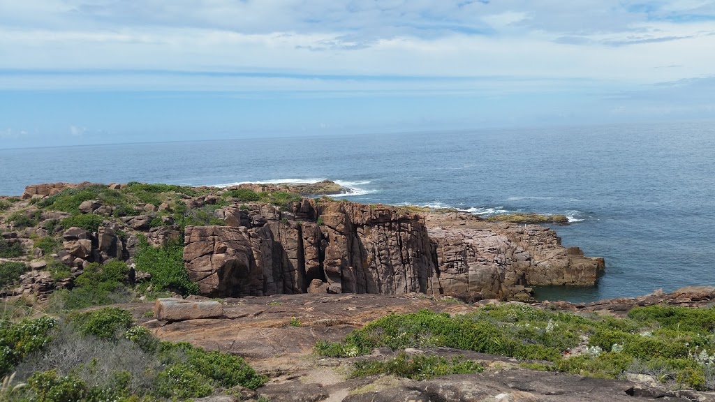 Boat Harbour North Headland | park | Noamunga St, Boat Harbour NSW 2316, Australia | 0249880255 OR +61 2 4988 0255