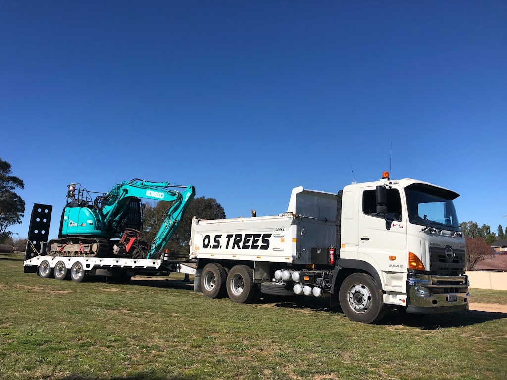 O.S. Trees Pty Ltd | 259 College Rd, Orton Park NSW 2795, Australia | Phone: 0438 289 978