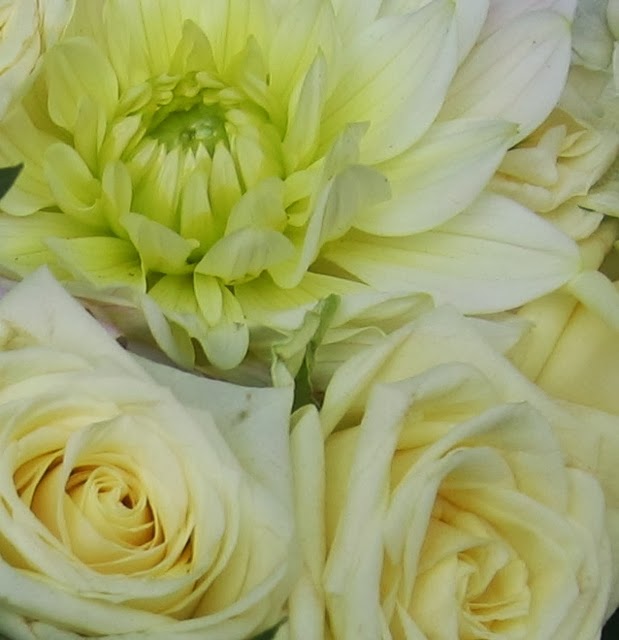 POLLEN APPEAL | florist | Cnr Esplande and, Bulmer St, Lakes Entrance VIC 3909, Australia | 0351552348 OR +61 3 5155 2348