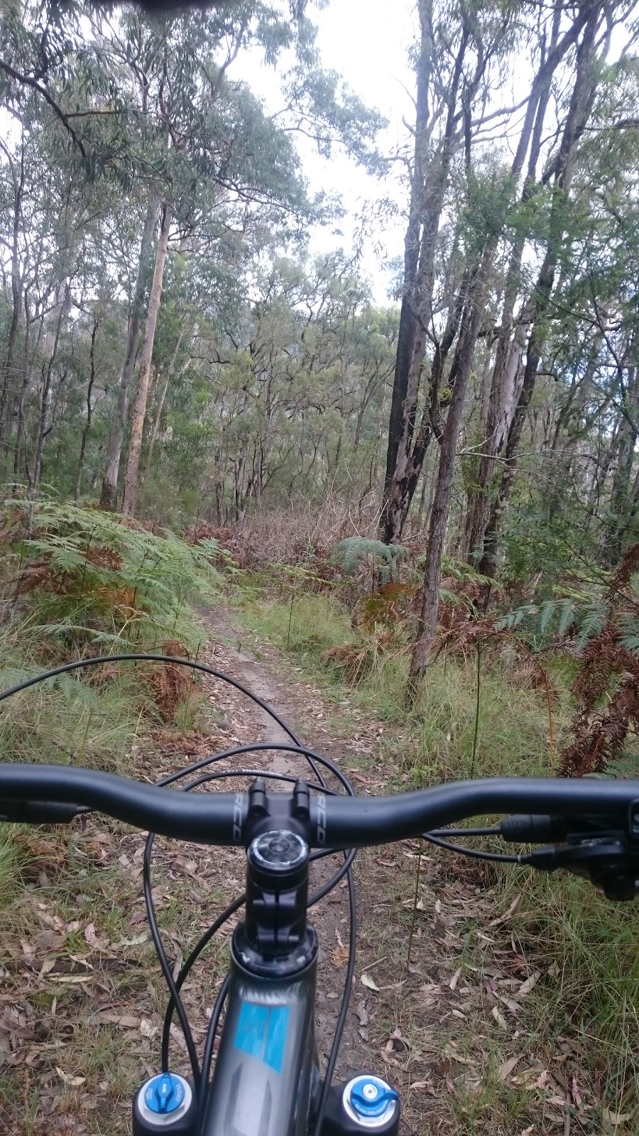 Yellomundee Mountain Bike Trails | Hawkesbury Rd, Hawkesbury Heights NSW 2753, Australia | Phone: (02) 4588 2400