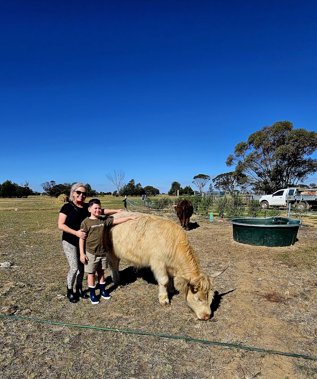 Point Little Farm | 687 Echuca West School Rd, Echuca West VIC 3564, Australia | Phone: 0407 703 198