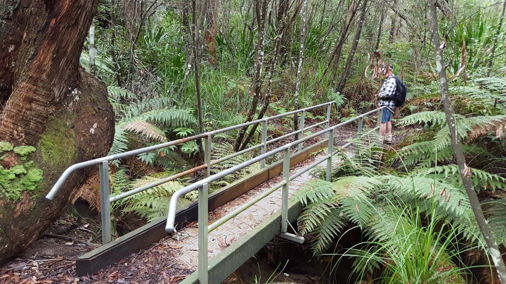 Banksia Picnic Area | Somersby NSW 2250, Australia | Phone: 1300 655 687