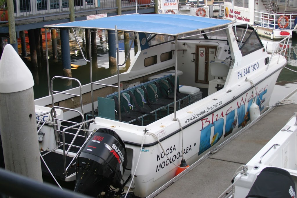 Noosa Bluewater Charters | The Jetty, 186 Gympie Terrace, Noosaville QLD 4566, Australia | Phone: (07) 5449 9355