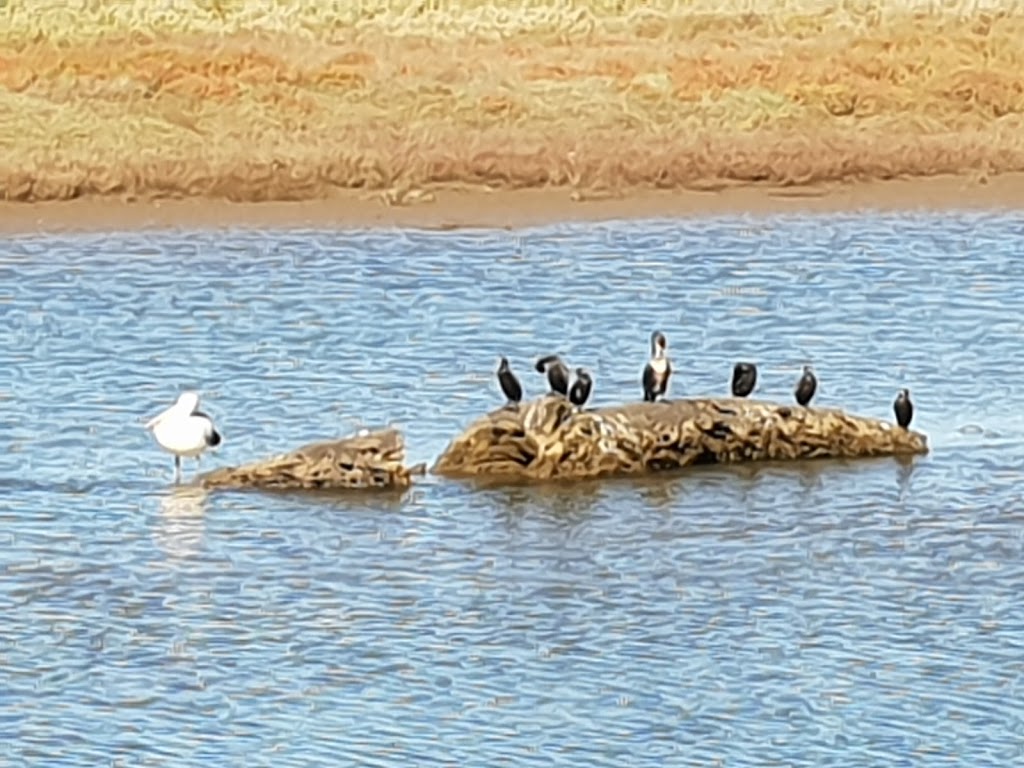 Onkaparinga Wetlands | Noarlunga Downs SA 5168, Australia