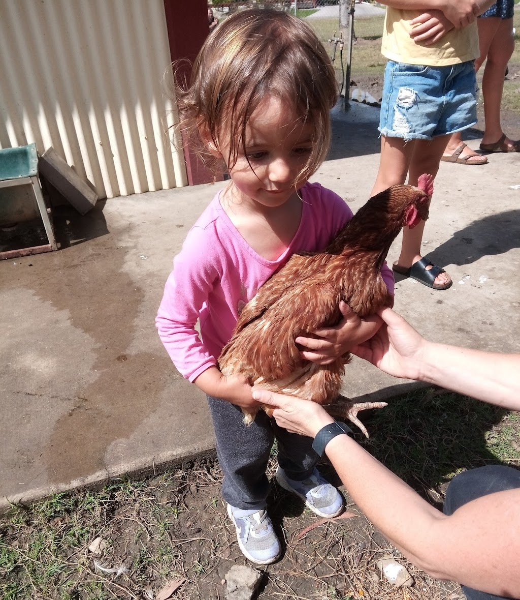 Burbank Bush Kindy Natural Childcare | 20 Moxon Rd, Burbank QLD 4156, Australia | Phone: (07) 3189 8880