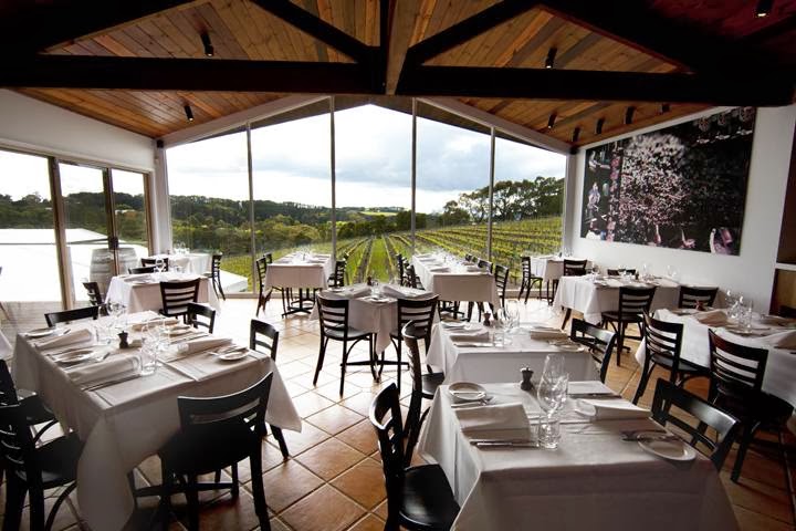 Paringa Estate Winery & Restaurant | restaurant | 44 Paringa Road, Red Hill South VIC 3937, Australia | 0359892669 OR +61 3 5989 2669