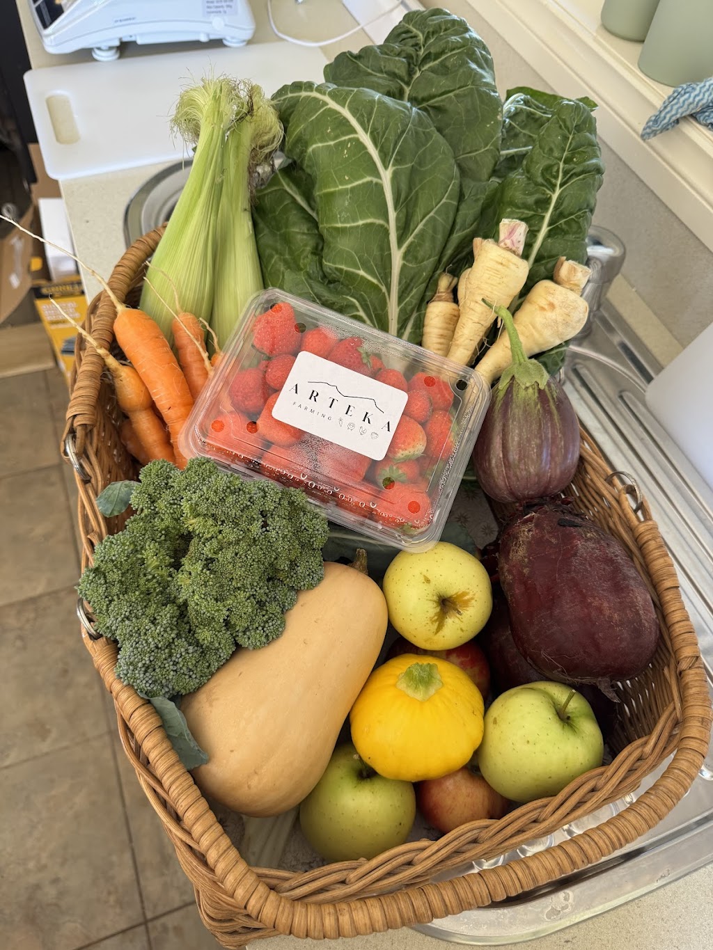 Arteka Farming | 65A Kannenbergs Rd, Hamilton VIC 3300, Australia | Phone: 0459 485 776 Arteka Farming | 65A Kannenbergs Rd, Hamilton VIC 3300, Australia | Phone: 0459 485 776