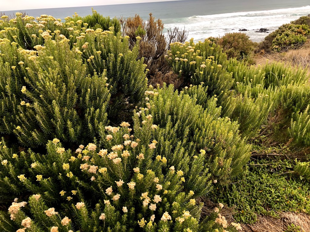 Special Shorebirds Conservation Area Phillip Islands | Surf Beach VIC 3922, Australia