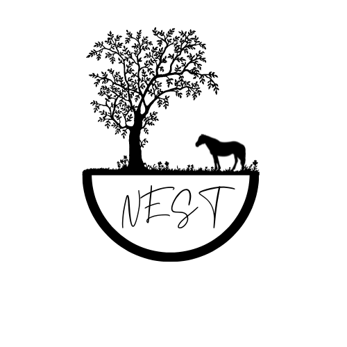 NEST Equine and Nature Assisted Learning | health | 288 Swamp Rd, Dunmore NSW 2529, Australia | 0418286070 OR +61 418 286 070
