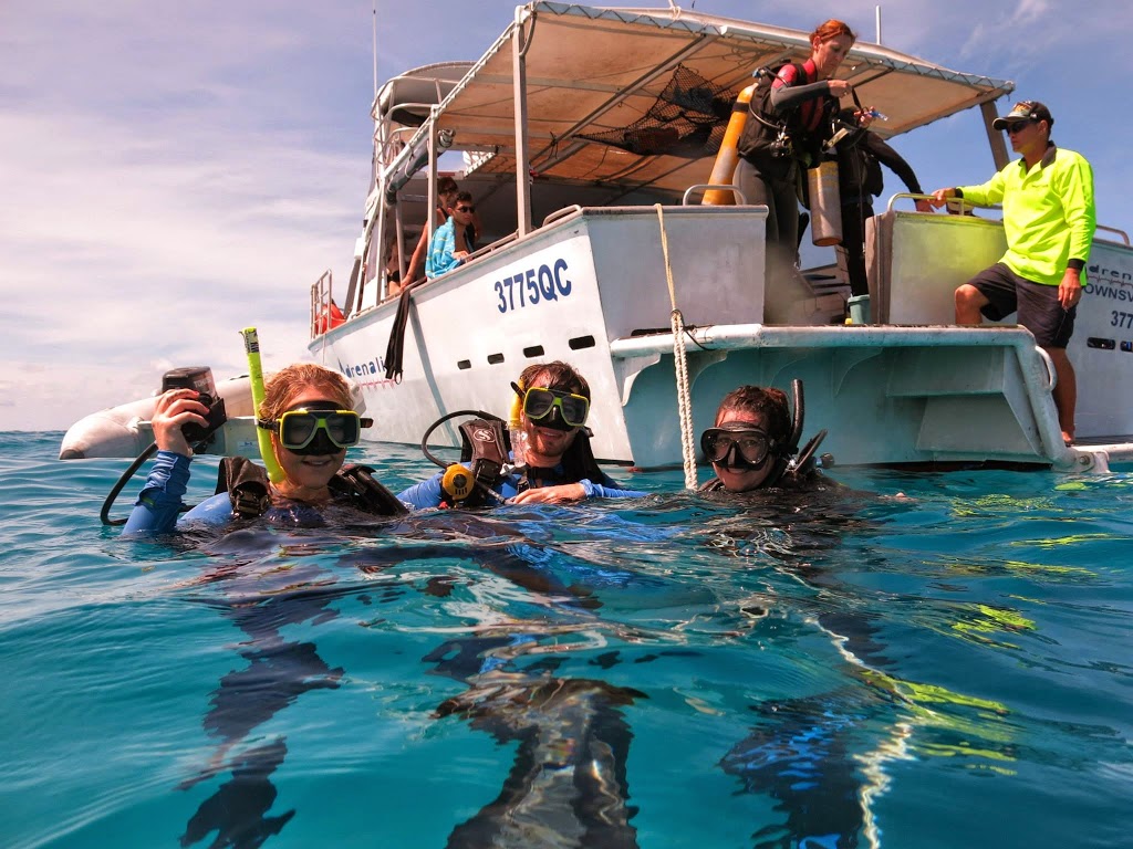 Adrenalin Snorkel & Dive | travel agency | 66 Perkins St W, Railway Estate QLD 4810, Australia | 0747240600 OR +61 7 4724 0600