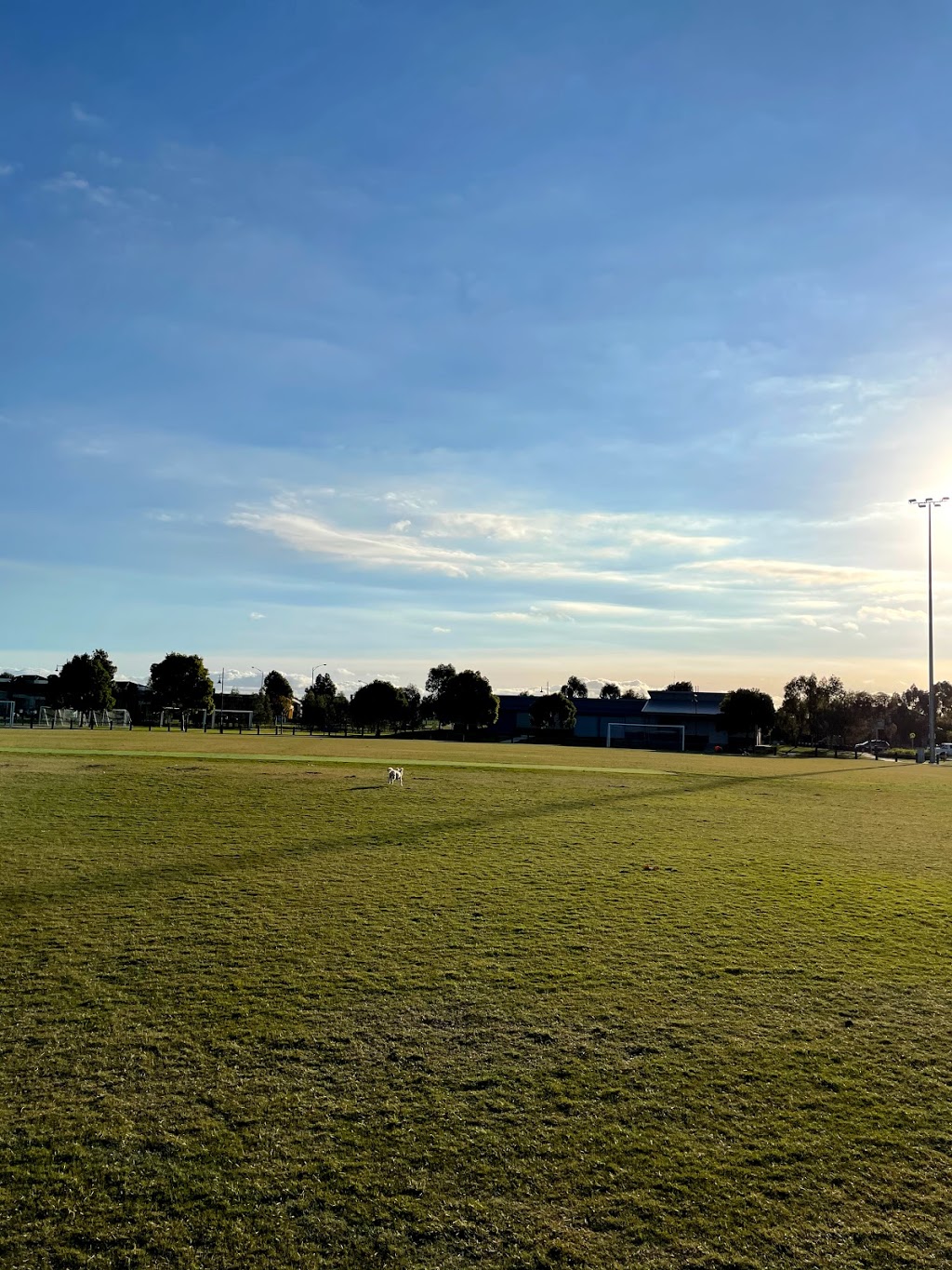 Off leash Dog Park,Derrimut | Balmoral Park, Derrimut VIC 3026, Australia | Phone: 0410 176 494