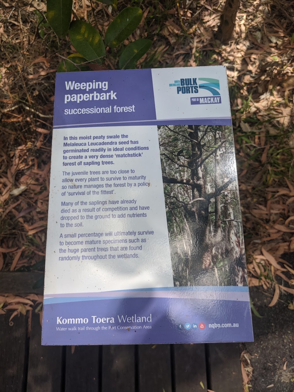 Kommo Toera Trail | park | Mackay Harbour QLD 4740, Australia