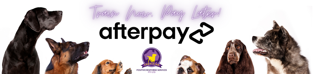 Positive Response Dog Training | 4656-4664 Mount Lindesay Hwy, North MacLean QLD 4280, Australia | Phone: (07) 3459 2121