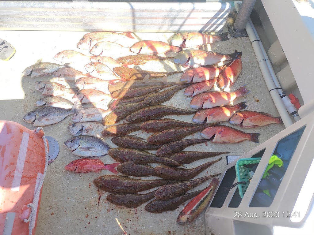 KC’s Fishing Charters |  | 1 Marina Dr, Coffs Harbour NSW 2450, Australia | 0265644111 OR +61 2 6564 4111