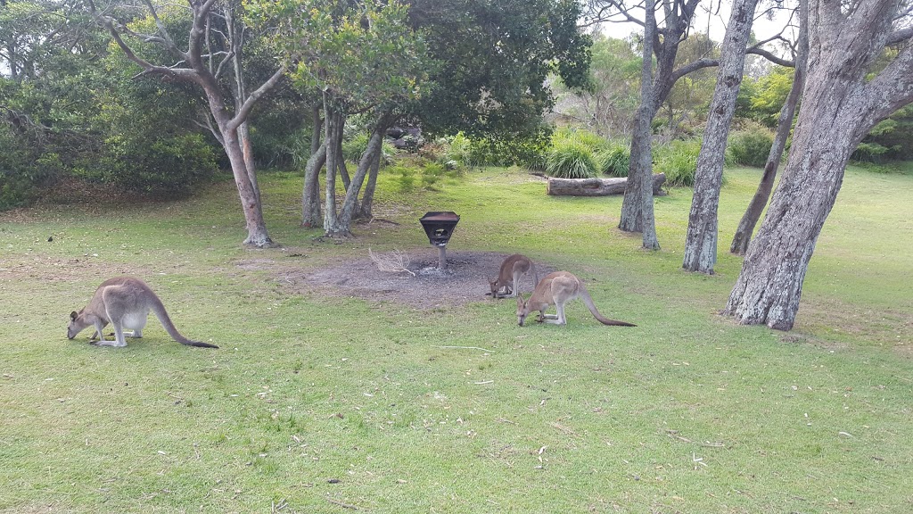 Cave Beach Camping Ground | campground | Caves Beach Rd, Jervis Bay NSW 2540, Australia | 0451047263 OR +61 451 047 263