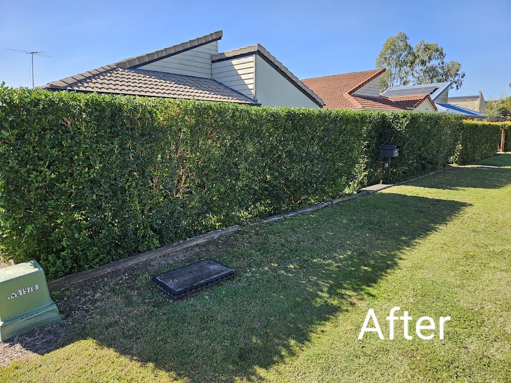 Steves Lawn and Property Care Pty Ltd | 25 Nanbaree Dr, Bray Park QLD 4500, Australia | Phone: 0426 961 675