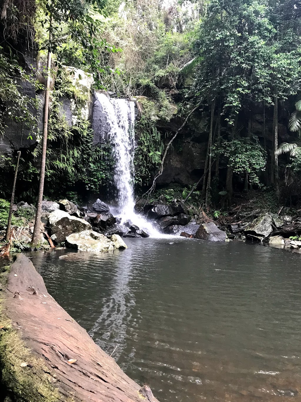 Tamborine National Park | Tamborine QLD 4270, Australia