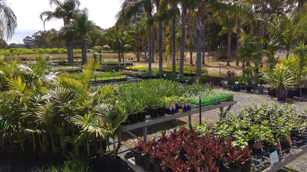 Mandurah Nursery | 25 Lymon Rd, Stake Hill WA 6181, Australia | Phone: 0407 702 132