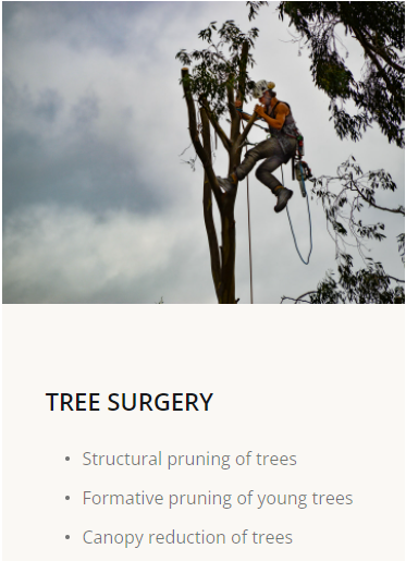 Yamba Tree Cutter |  | 5 Coquette Cl, Yamba NSW 2464, Australia | 0499573463 OR +61 499 573 463