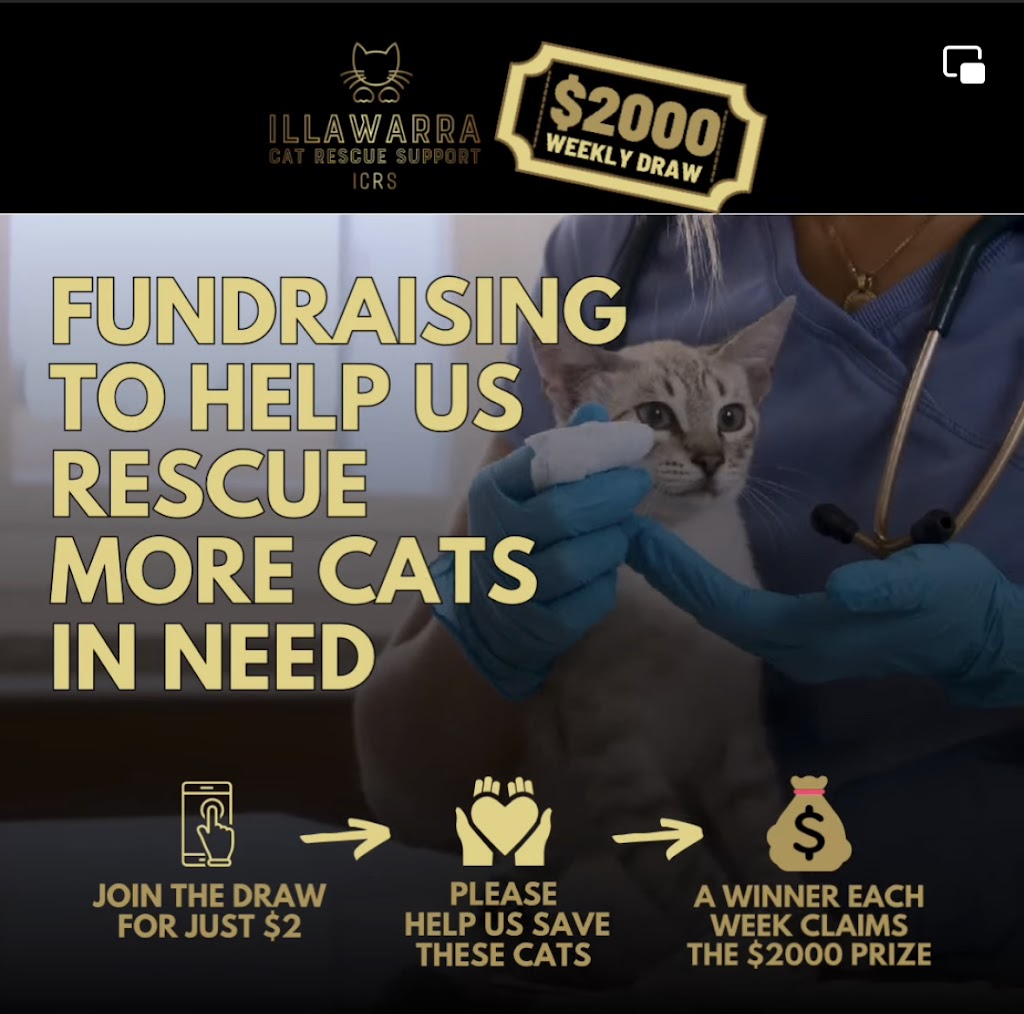 Illawarra Cat Rescue Limited | Unit 2/101 Esperance Dr, Albion Park NSW 2527, Australia | Phone: 0402 390 750