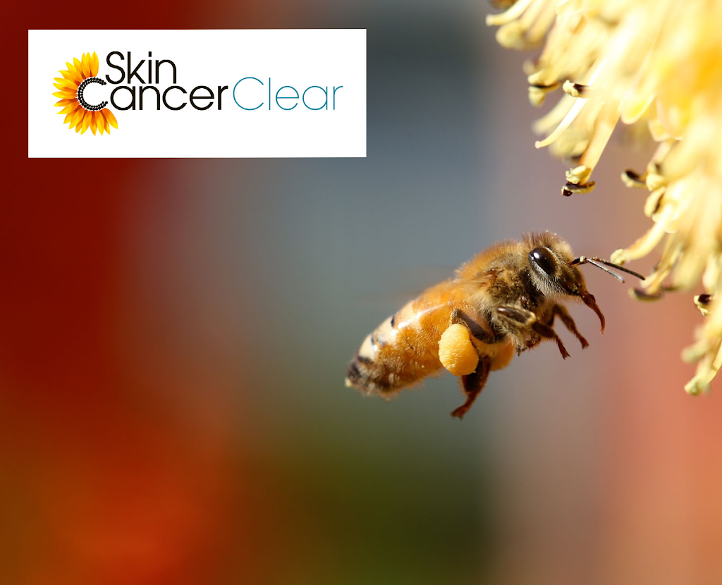 Skin Cancer Clear | doctor | 881 Ruthven St, Toowoomba City QLD 4350, Australia | 0745292777 OR +61 7 4529 2777