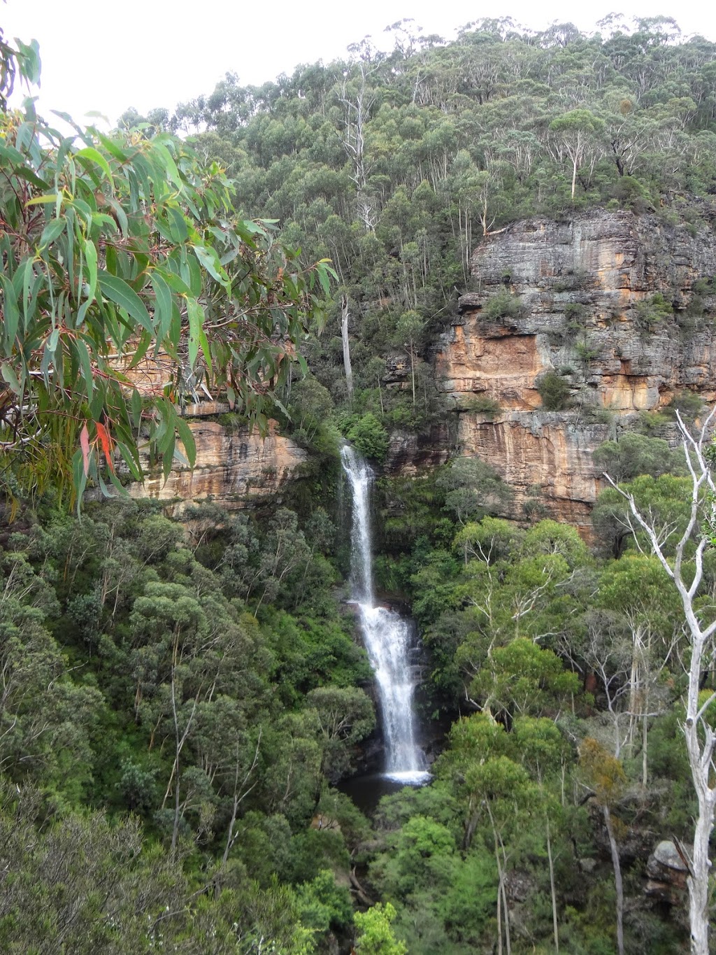 Minni haha Falls, Blue Mountains | park | N, 1/9 Katoomba Falls Rd, Katoomba NSW 2780, Australia