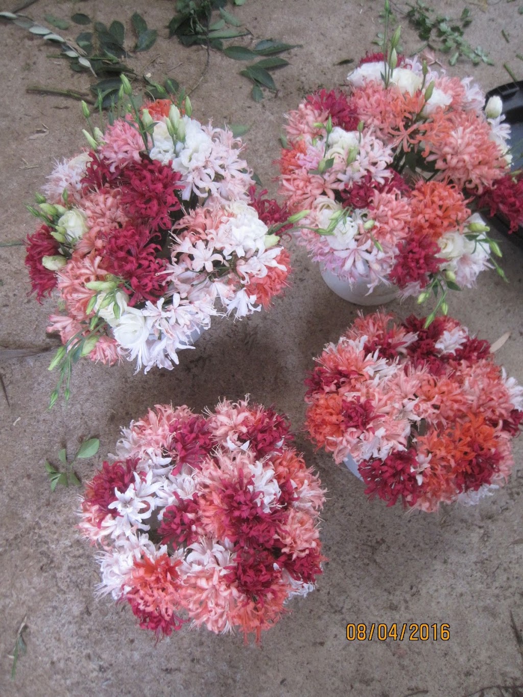 Shady Hollow Flowers & Bulbs |  | 61 Wiseman Rd, Silvan VIC 3795, Australia | 0490515423 OR +61 490 515 423