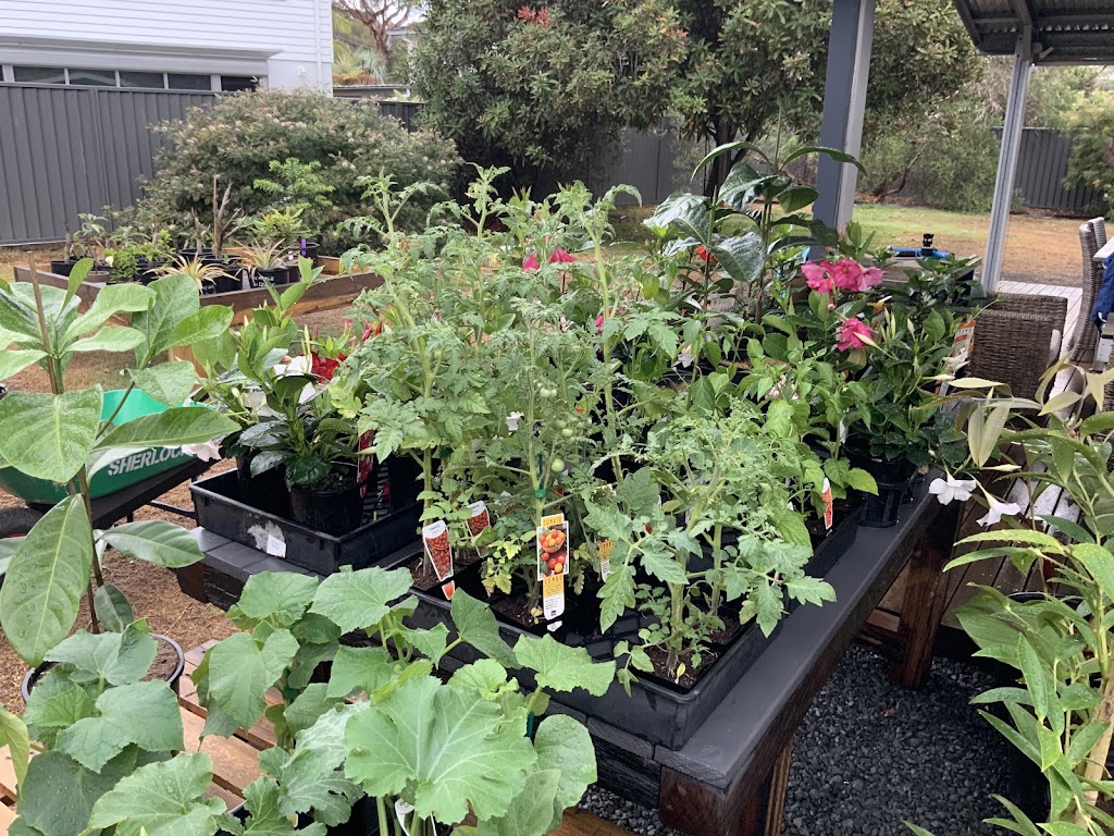 AWABAKAL NURSERY and Landscaping Services | 21 Mimosa Rd, Budgewoi NSW 2262, Australia | Phone: 0488 684 150