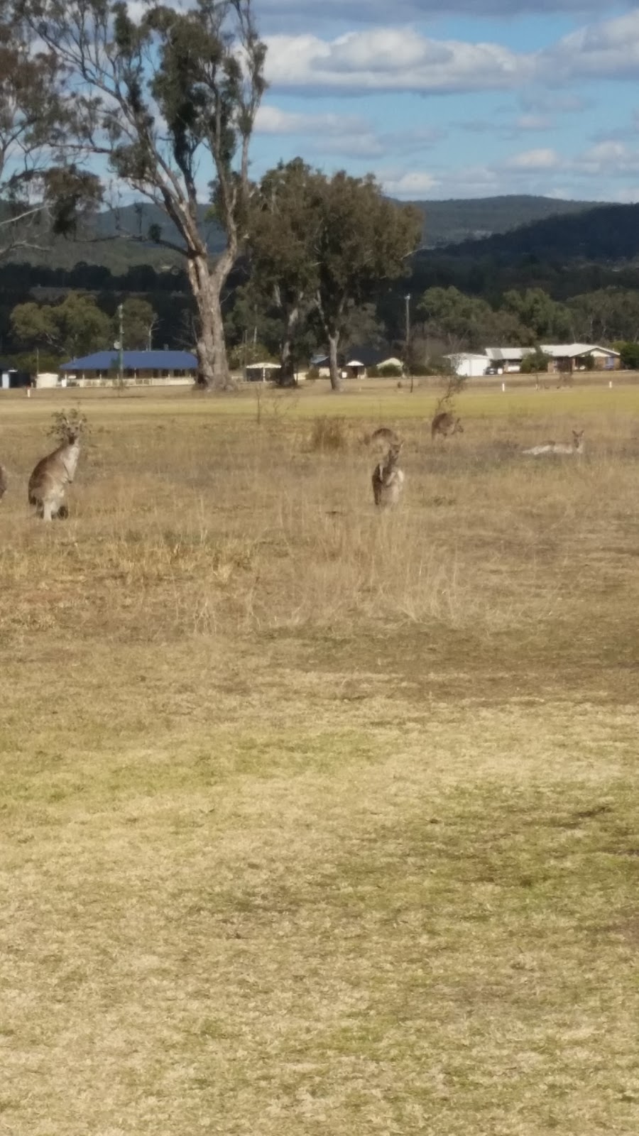 Stanthorpe Club | 54 Amosfield Rd, Stanthorpe QLD 4380, Australia | Phone: (07) 4681 1276