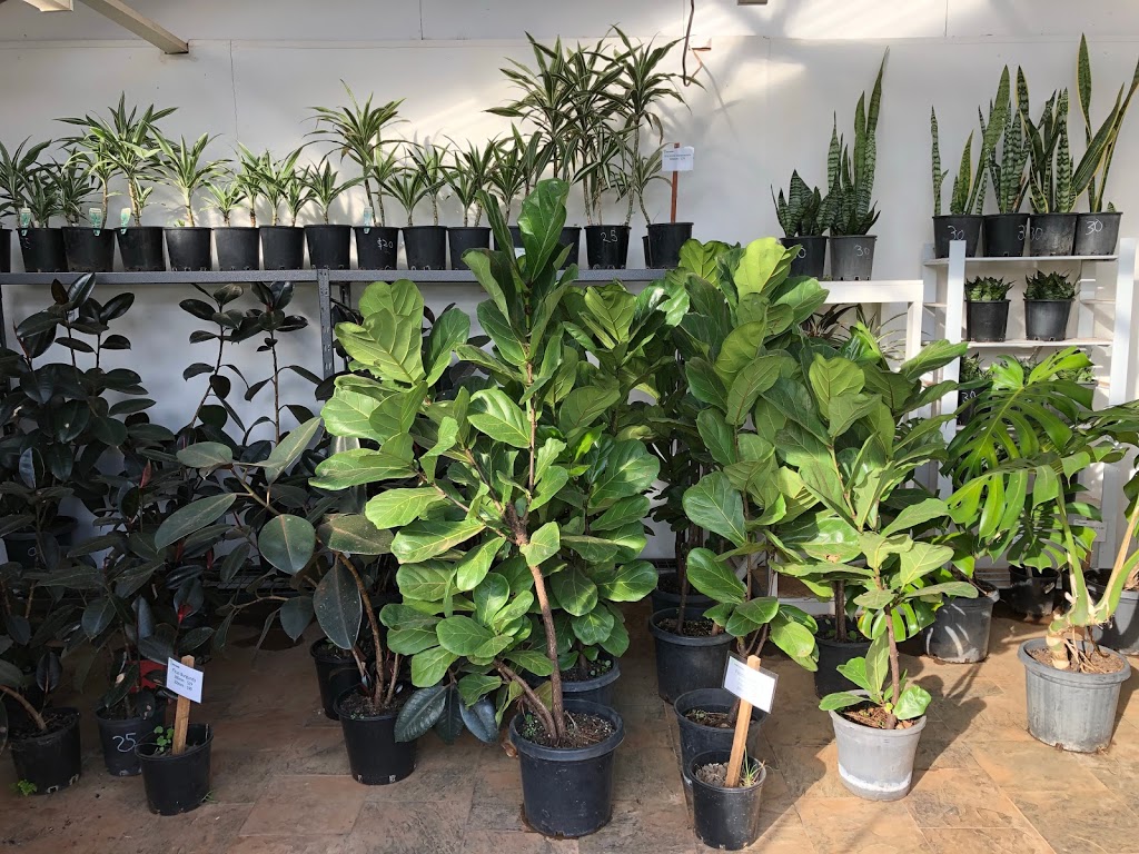 True Green Nursery | 137 Highett Rd, Melton VIC 3337, Australia | Phone: (03) 9743 5932