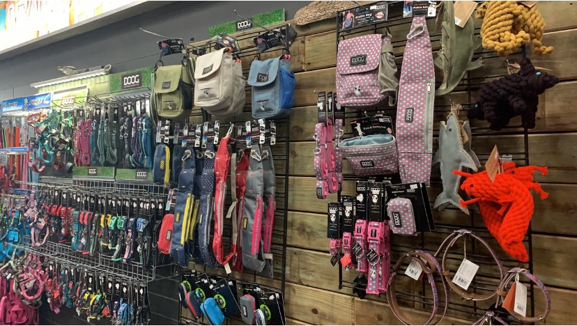 pDOG Lifestyle Centre previously Pet Discount Outlet | 14 Harper St, Molendinar QLD 4214, Australia | Phone: 0406 862 909