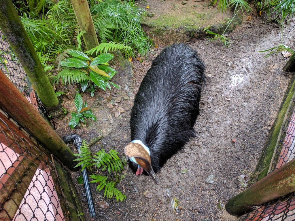 Birdworld Kuranda | park | 8 Rob Veivers Dr, Kuranda QLD 4881, Australia | 0740939188 OR +61 7 4093 9188