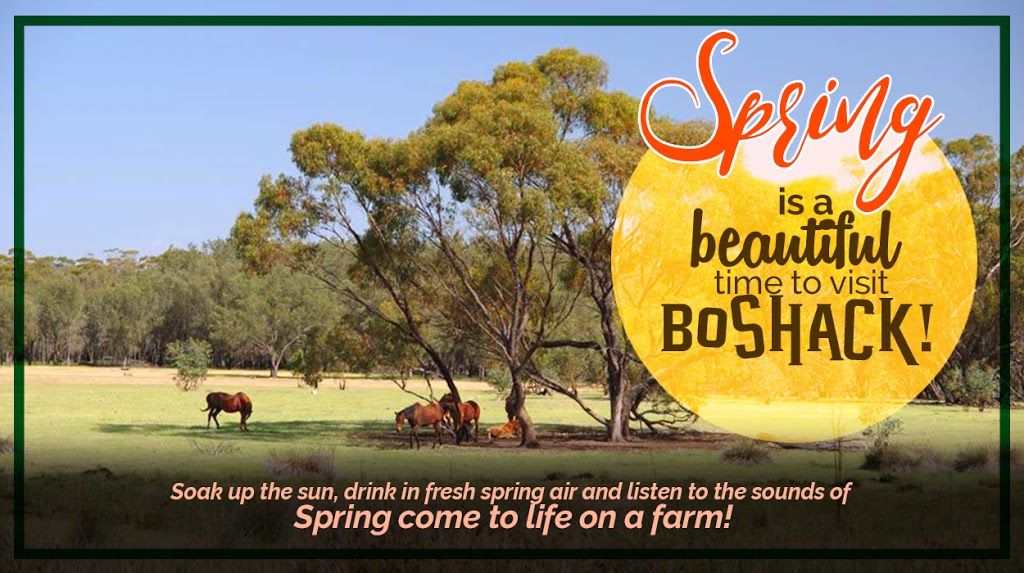 Boshack Outback - Perth Farmstay | 640 Wattening Spring Rd, Wattening WA 6568, Australia | Phone: 0408 005 628