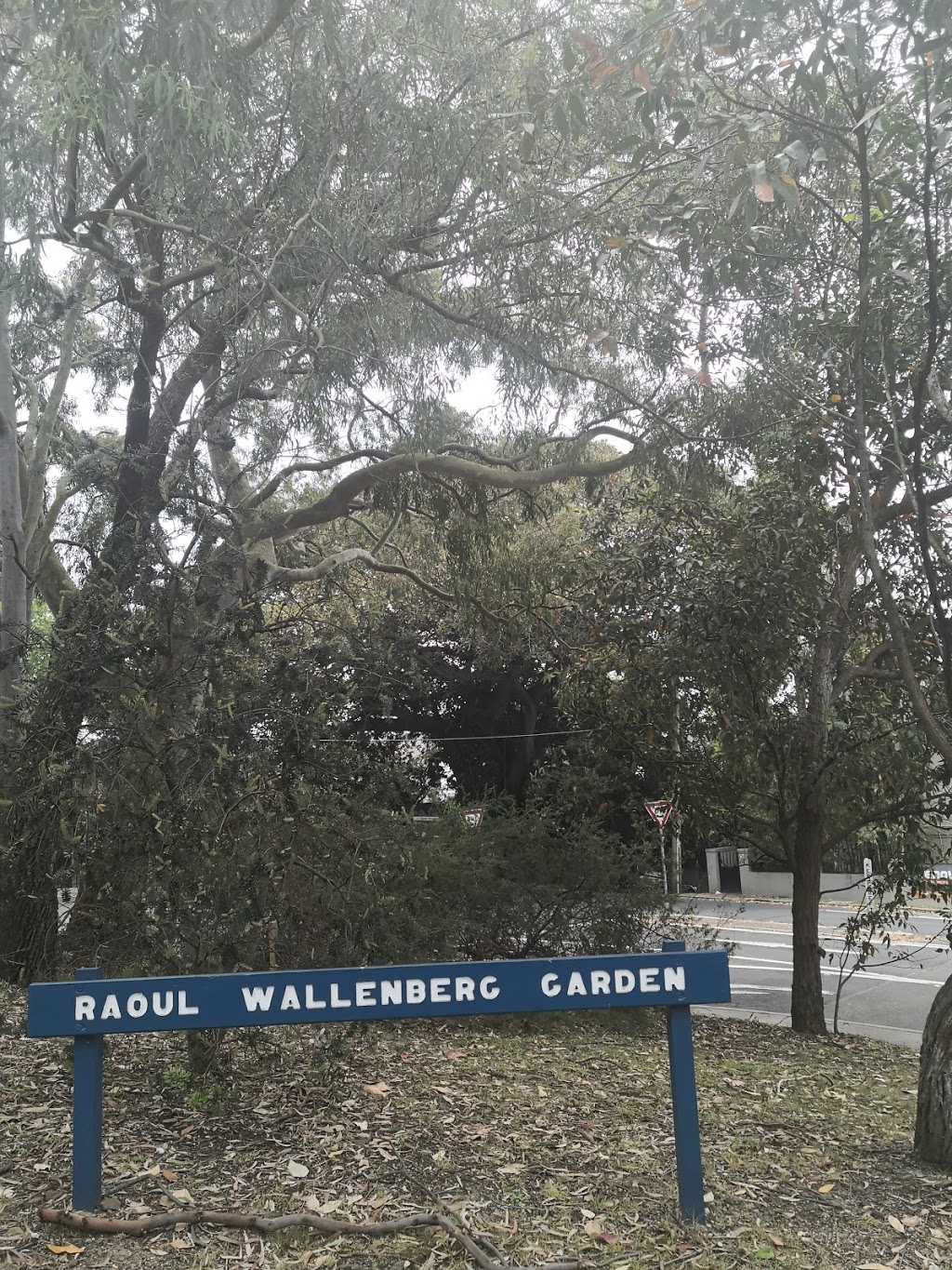Raoul Wallenberg Garden | park | 200 Queen St, Woollahra NSW 2025, Australia