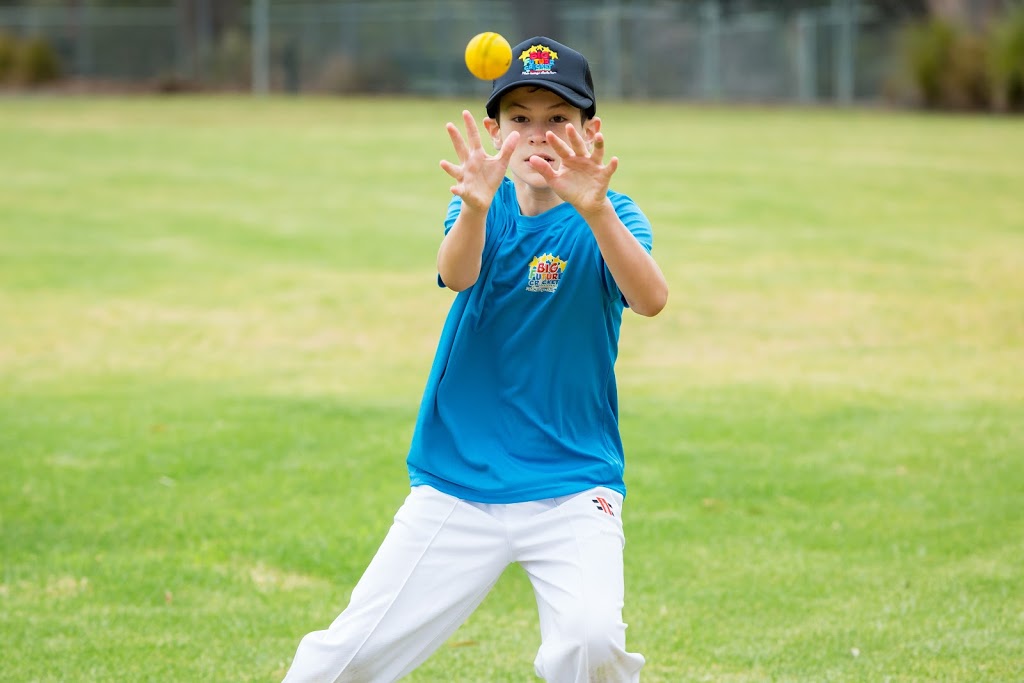 Big Future Cricket Academy | 9 Daphne Ave, Castle Hill NSW 2154, Australia | Phone: 1300 244 388