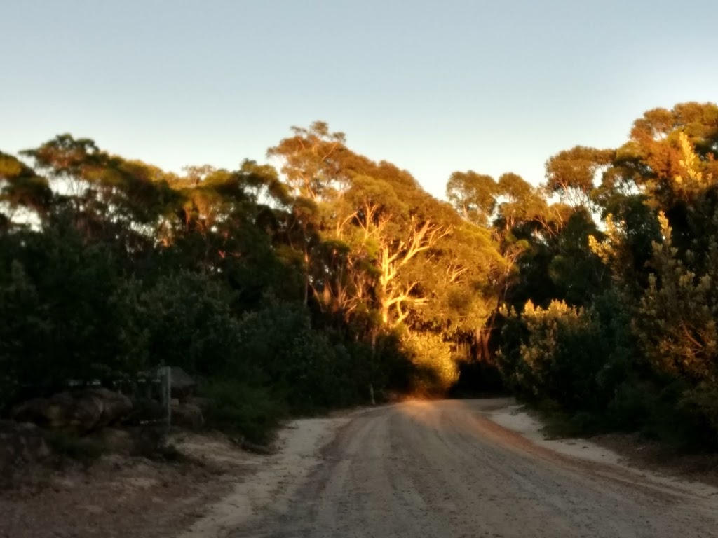 Bargo State Conservation Area | park | Wattle Ridge NSW 2575, Australia