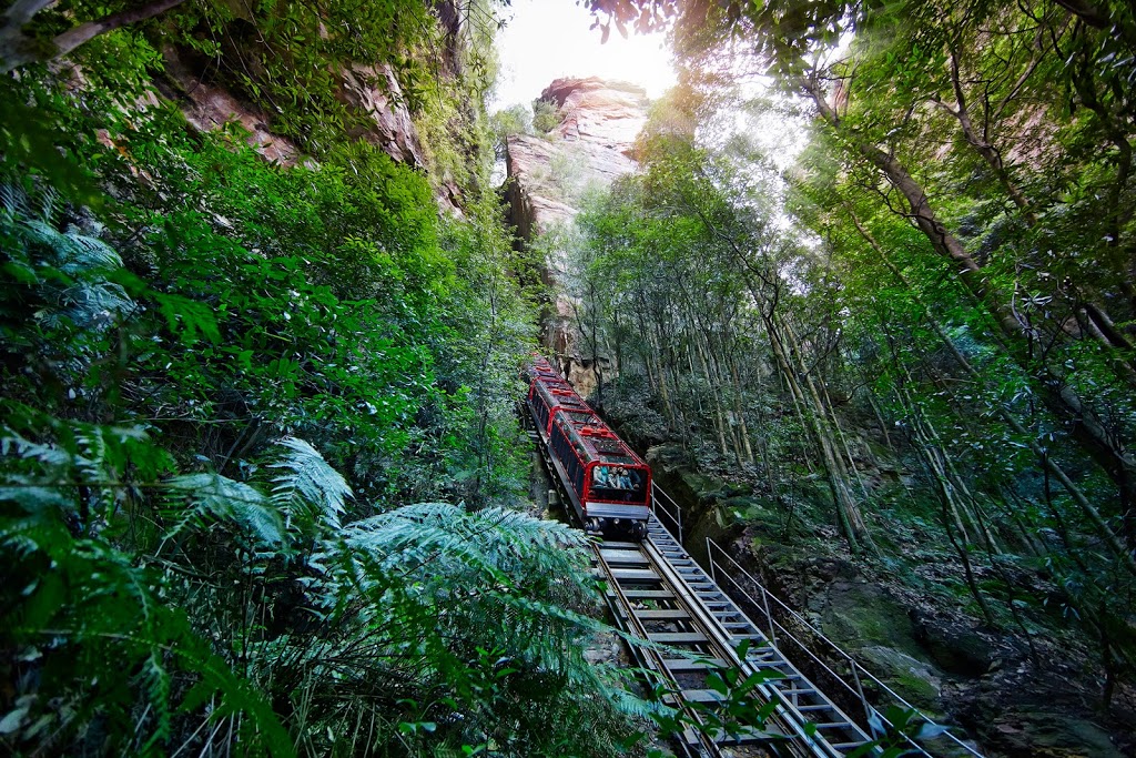 Scenic World | tourist attraction | Violet St &, Cliff Dr, Katoomba NSW 2780, Australia | 0247800200 OR +61 2 4780 0200